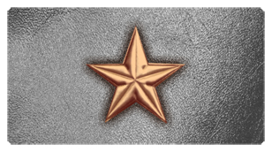 DSC700 430 CP SL Star Copper Silver